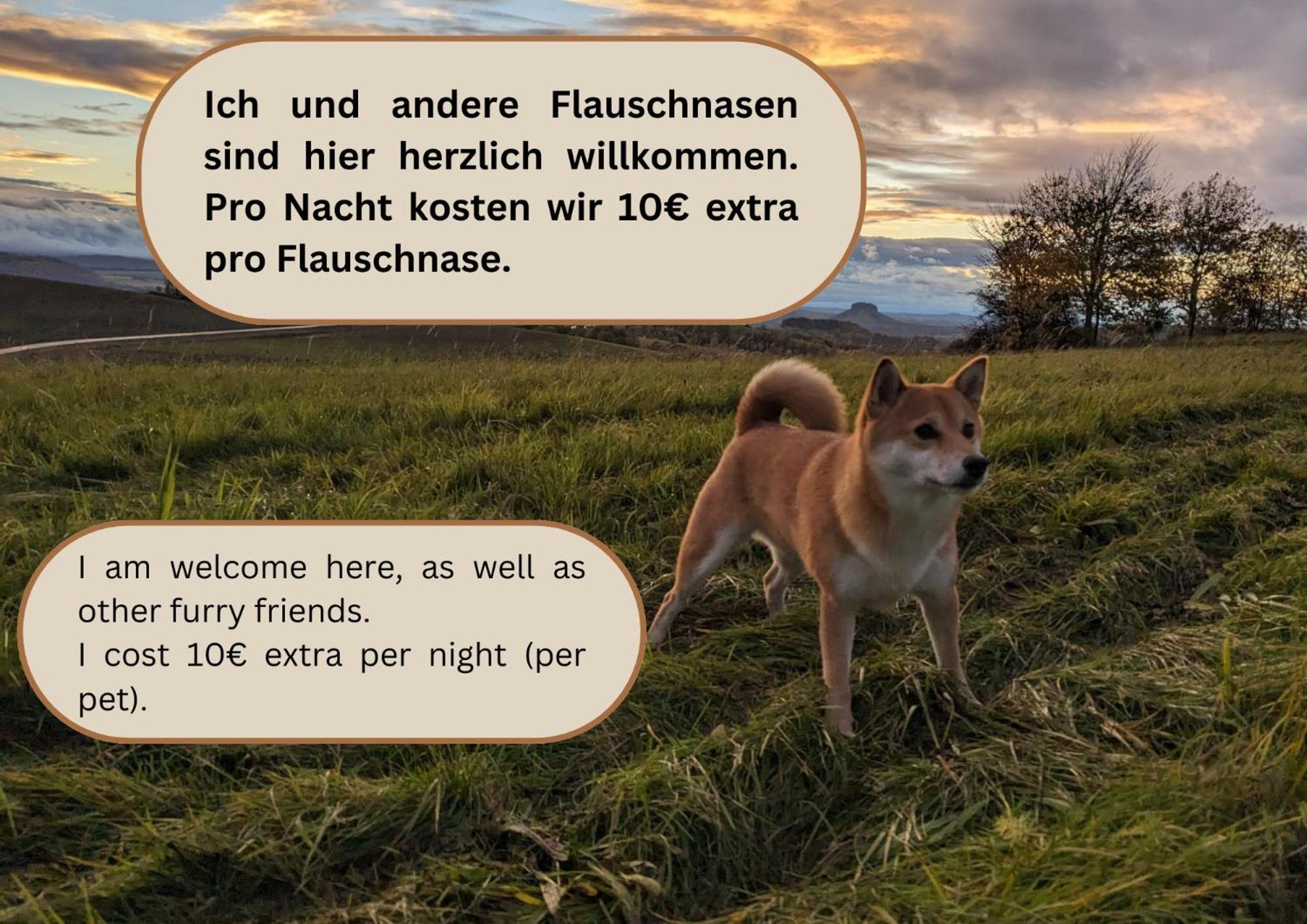 S1 - Urlaubsmagie - Direkt Loswandern, Bis Zu 4P ゼーブニッツ エクステリア 写真